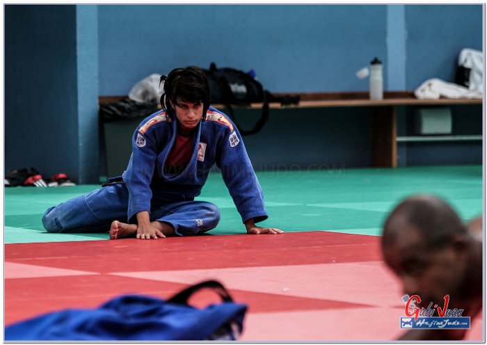 STAGE JUDO MADRID 14 00077